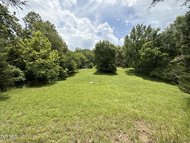 131 Gibson Hollow Rd, Eidson, TN 37731 - photo 49