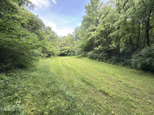 131 Gibson Hollow Rd, Eidson, TN 37731 - photo 50