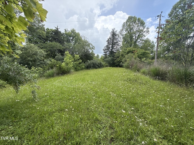 131 Gibson Hollow Rd, Eidson, TN 37731 - photo 51