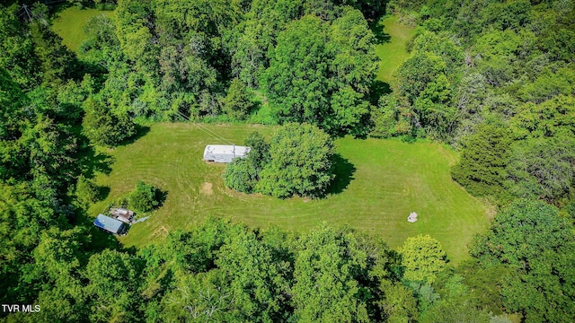 131 Gibson Hollow Rd, Eidson, TN 37731 - photo 56