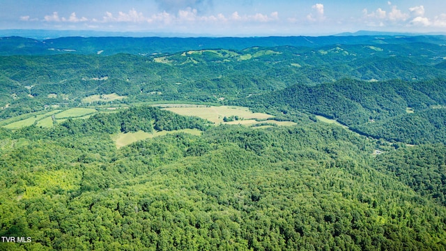 131 Gibson Hollow Rd, Eidson, TN 37731 - photo 58