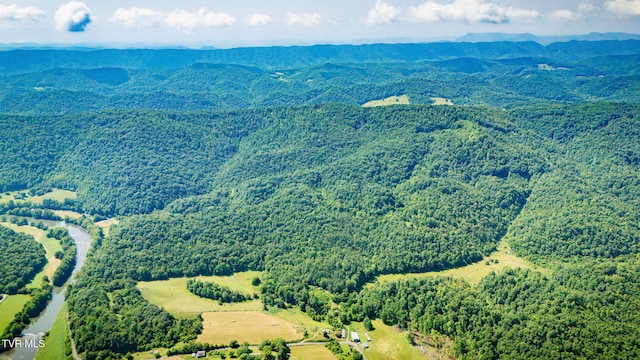 131 Gibson Hollow Rd, Eidson, TN 37731 - photo 59