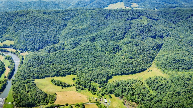 131 Gibson Hollow Rd, Eidson, TN 37731 - photo 60