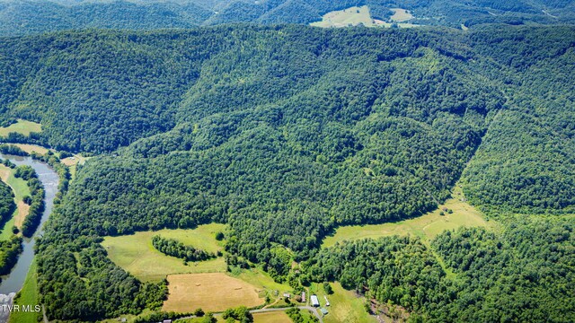 131 Gibson Hollow Rd, Eidson, TN 37731 - photo 61