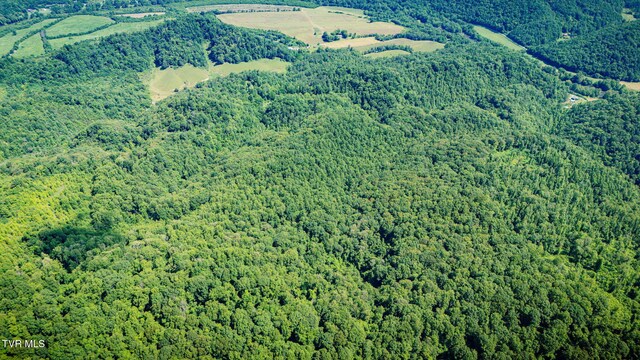 131 Gibson Hollow Rd, Eidson, TN 37731 - photo 62