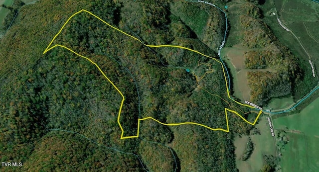 131 Gibson Hollow Rd, Eidson, TN 37731 - photo 68