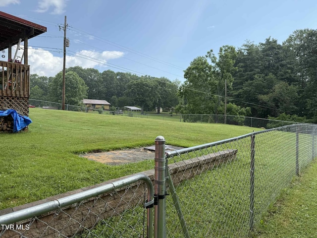 2818 Dungannon Rd, Coeburn, VA 24230 - view of yard