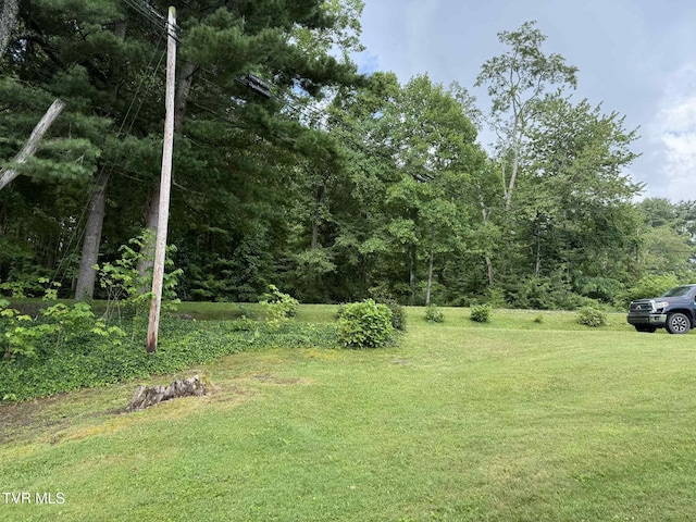 2818 Dungannon Rd, Coeburn, VA 24230 - view of grassy yard