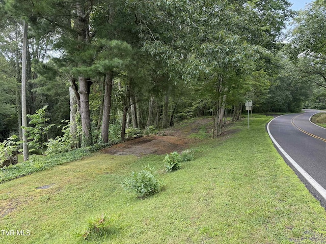 2818 Dungannon Rd, Coeburn, VA 24230 - view of asphalt road