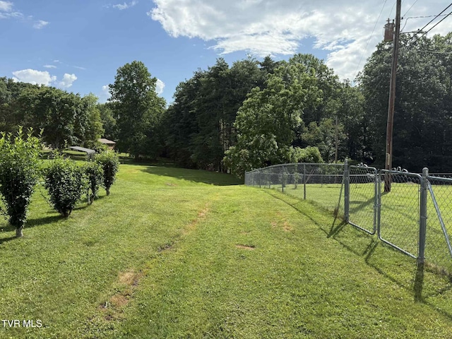 2818 Dungannon Rd, Coeburn, VA 24230 - view of yard