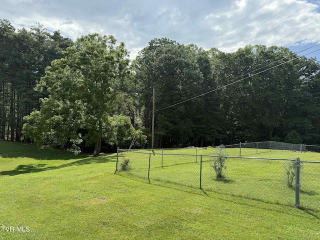 2818 Dungannon Rd, Coeburn, VA 24230 - view of yard