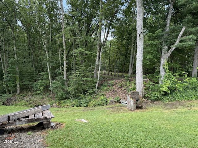 2818 Dungannon Rd, Coeburn, VA 24230 - view of green lawn