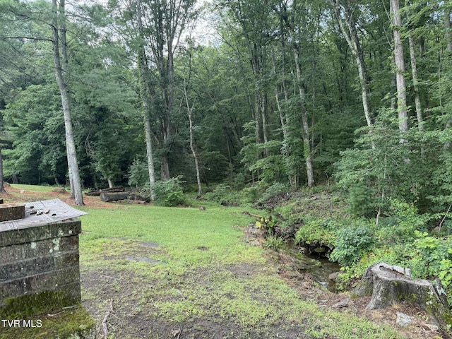 2818 Dungannon Rd, Coeburn, VA 24230 - view of grassy yard featuring a view of trees
