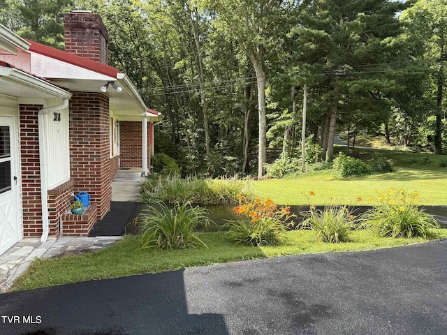 2818 Dungannon Rd, Coeburn, VA 24230 - view of yard