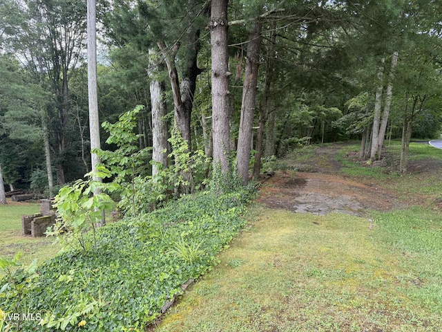 2818 Dungannon Rd, Coeburn, VA 24230 - view of yard with a wooded view