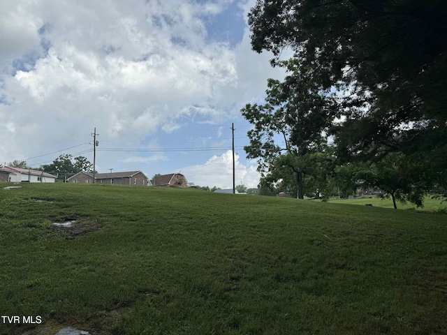 2818 Dungannon Rd, Coeburn, VA 24230 - view of grassy yard