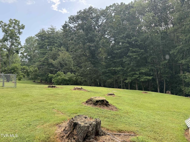 2818 Dungannon Rd, Coeburn, VA 24230 - view of grassy yard with a wooded view