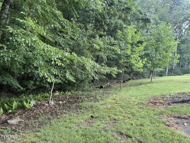 2818 Dungannon Rd, Coeburn, VA 24230 - view of grassy yard featuring a forest view