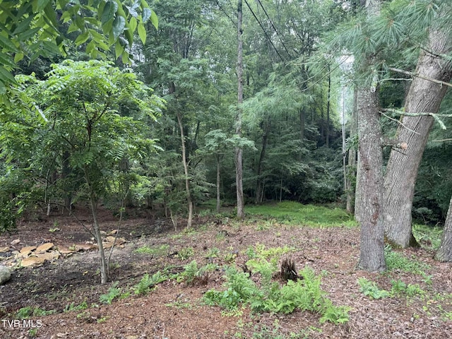 2818 Dungannon Rd, Coeburn, VA 24230 - view of wooded area