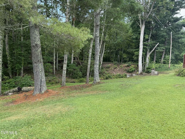 2818 Dungannon Rd, Coeburn, VA 24230 - view of green lawn