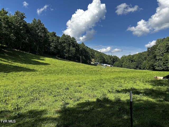 1013 Cloud Creek Rd, Rogersville, TN 37857 - photo 2