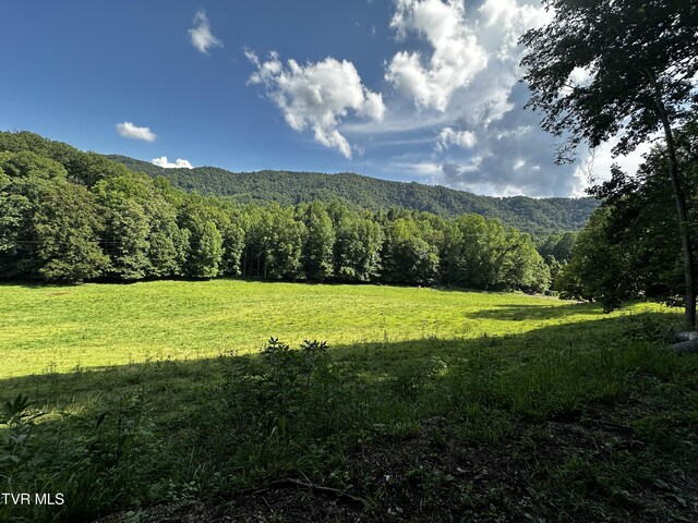 1013 Cloud Creek Rd, Rogersville, TN 37857 - photo 4