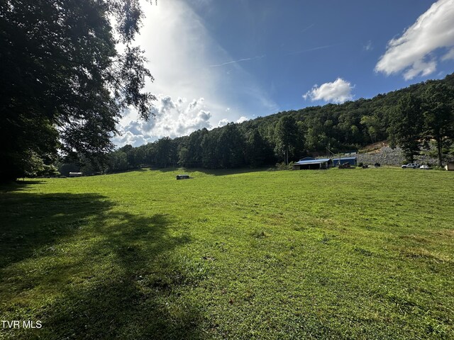1013 Cloud Creek Rd, Rogersville, TN 37857 - photo 5