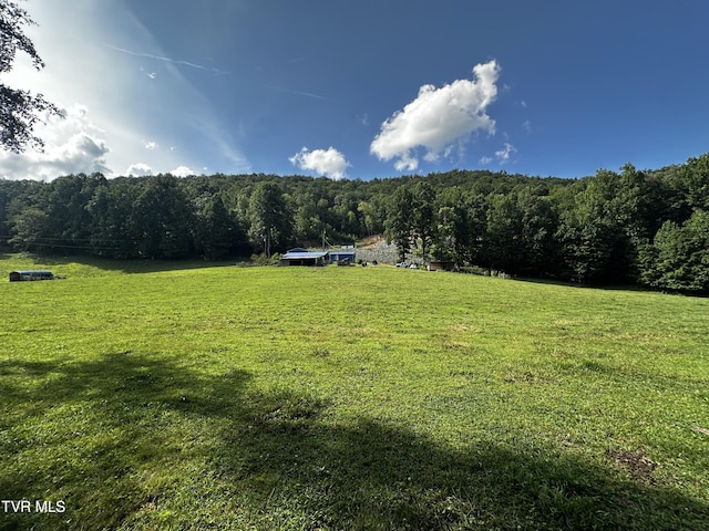 1013 Cloud Creek Rd, Rogersville, TN 37857 - photo 1