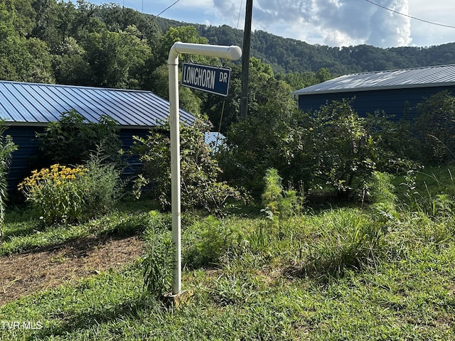 1013 Cloud Creek Rd, Rogersville, TN 37857 - photo 3