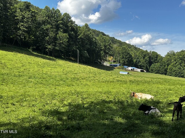 1013 Cloud Creek Rd, Rogersville, TN 37857 - photo 19