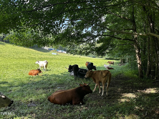 1013 Cloud Creek Rd, Rogersville, TN 37857 - photo 18