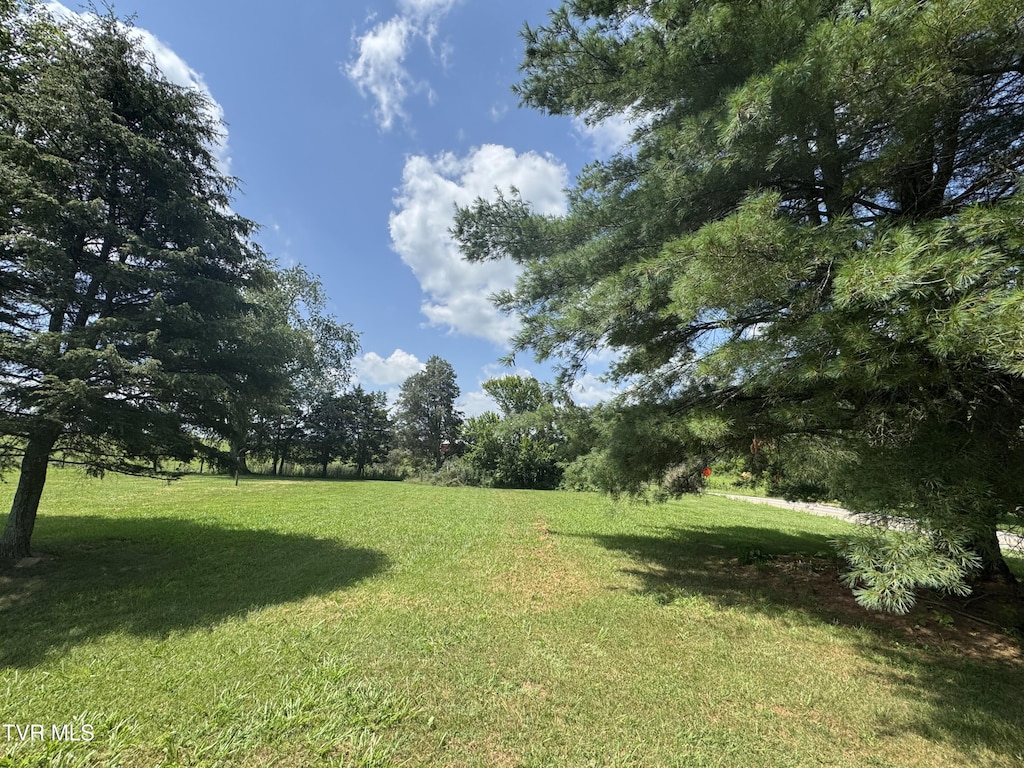 105 Pond Hill Rd, Jonesborough, TN 37659 - photo 3