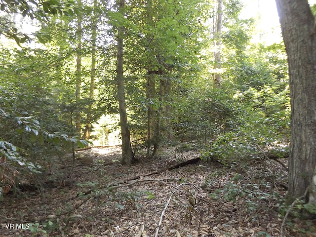119 Gunsmoke Hollow Dr, Elizabethton, TN 37643 - photo 5