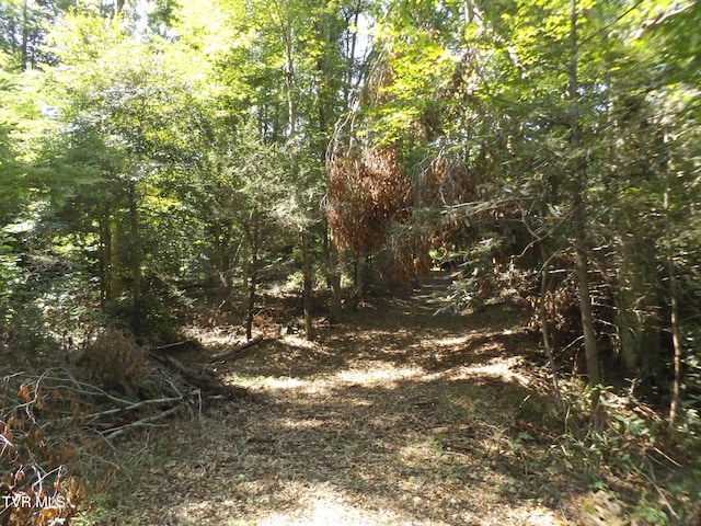 119 Gunsmoke Hollow Dr, Elizabethton, TN 37643 - photo 8