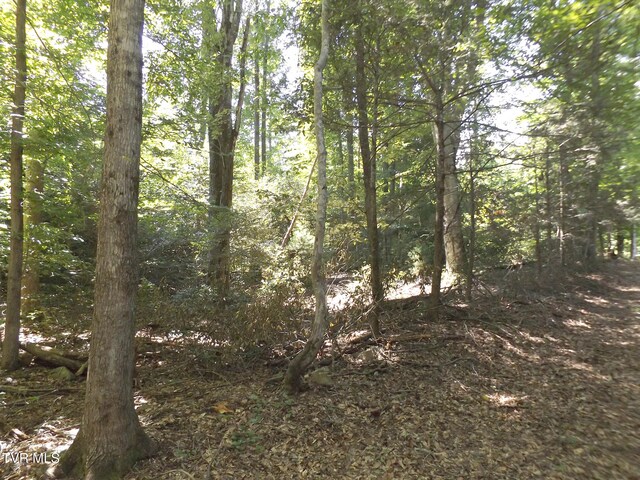 119 Gunsmoke Hollow Dr, Elizabethton, TN 37643 - photo 7