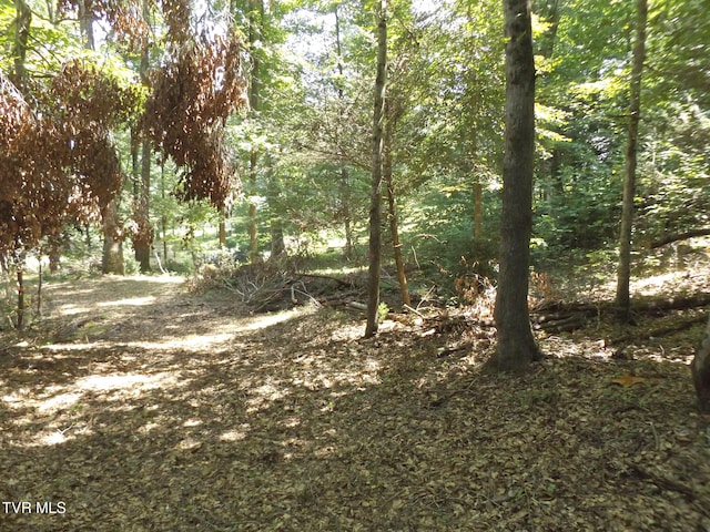 119 Gunsmoke Hollow Dr, Elizabethton, TN 37643 - photo 2