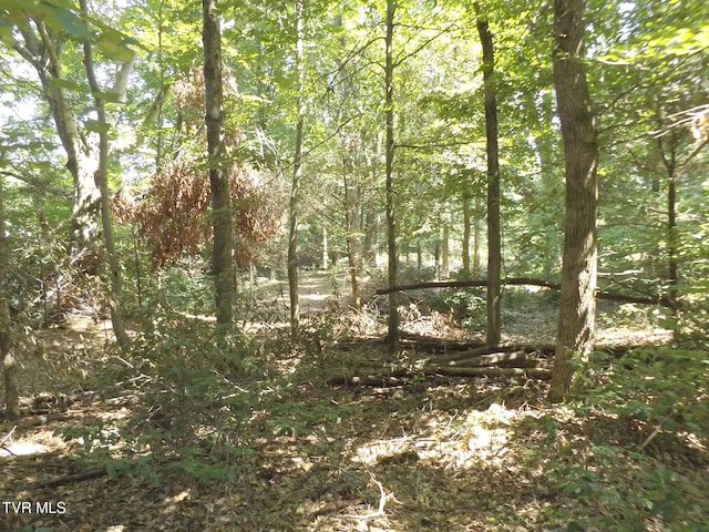 119 Gunsmoke Hollow Dr, Elizabethton, TN 37643 - photo 3
