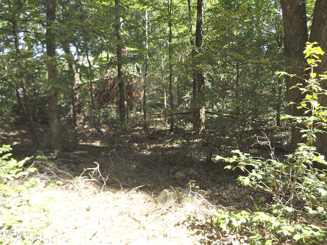 119 Gunsmoke Hollow Dr, Elizabethton, TN 37643 - photo 10