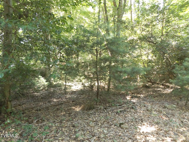 119 Gunsmoke Hollow Dr, Elizabethton, TN 37643 - photo 4