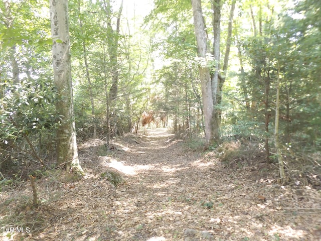 119 Gunsmoke Hollow Dr, Elizabethton, TN 37643 - photo 1