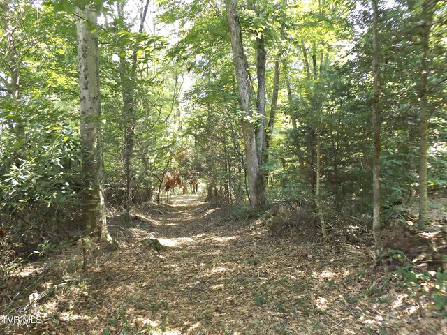 119 Gunsmoke Hollow Dr, Elizabethton, TN 37643 - photo 16