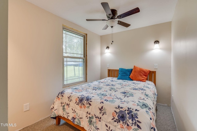 6755 Erwin Hwy, Chuckey, TN 37641 - photo 24