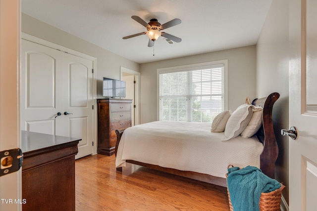 417 Piper Gln, Gray, TN 37615 - bedroom with light wood-type flooring, a ceiling fan, and a closet