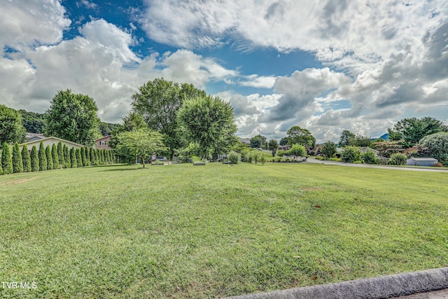 107 Dover Ln, Bristol, TN 37620 - view of yard