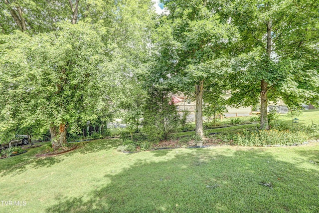 107 Dover Ln, Bristol, TN 37620 - view of green lawn