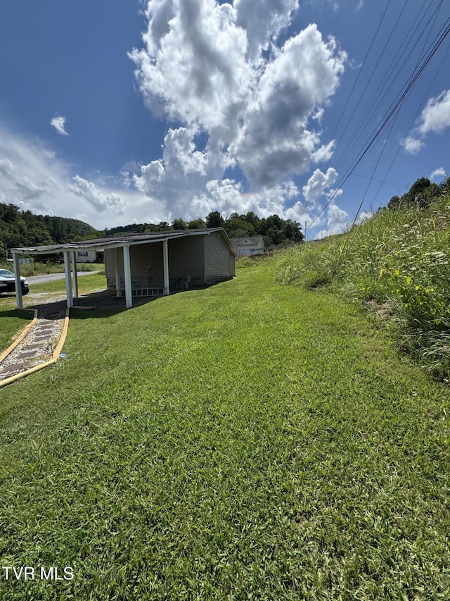 80 Zack Whitson Ln, Erwin, TN 37650 - photo 8