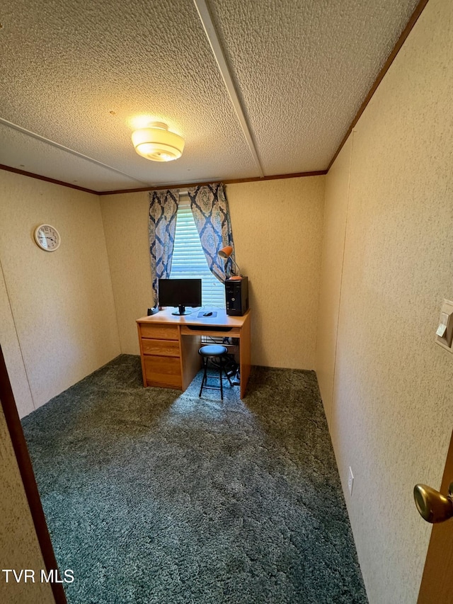 80 Zack Whitson Ln, Erwin, TN 37650 - photo 21