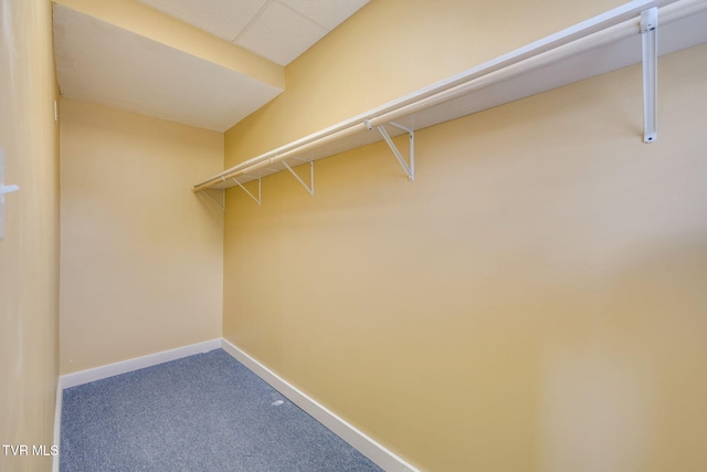 522 Alabama St, Bristol, TN 37620 - walk in closet featuring carpet