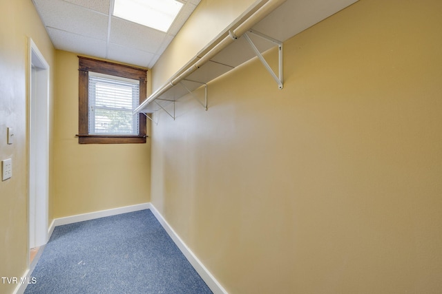 522 Alabama St, Bristol, TN 37620 - walk in closet with carpet floors