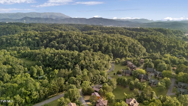 1515 Rainbow Ridge Dr, Sevierville, TN 37862 - photo 28